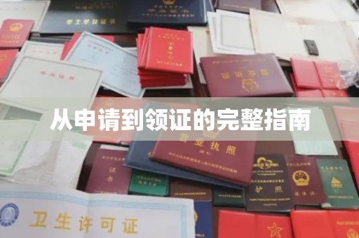 板芙从申请到领证的完整指南